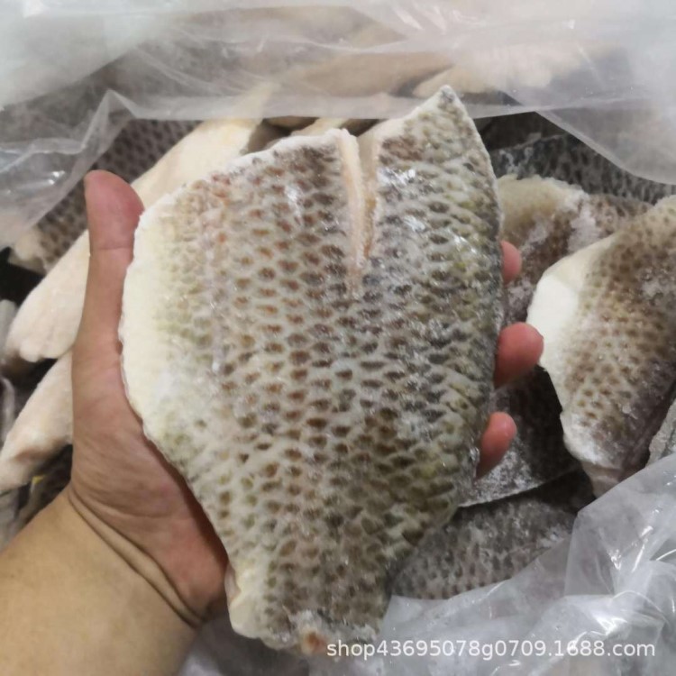 冷冻带皮鲷鱼片 罗非鱼生鱼片粥烤鱼片 加吉鱼片柳 5-7公分/块