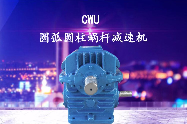 生产销售CWU250、CWU315圆弧圆柱蜗杆减速机、蜗杆减速机