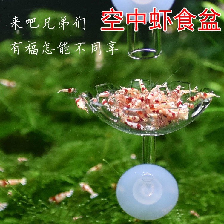 亚克力空中 水晶虾食盆/玻璃食盆/水晶虾/观赏虾/饲料盆/