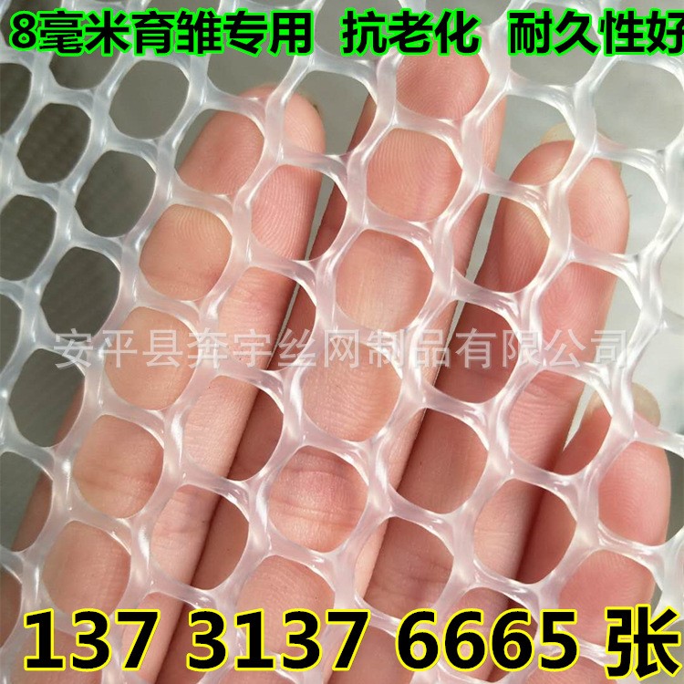 养鸡厂用 白色塑胶网 塑料平网 全新料 抗氧化使用年限长规格