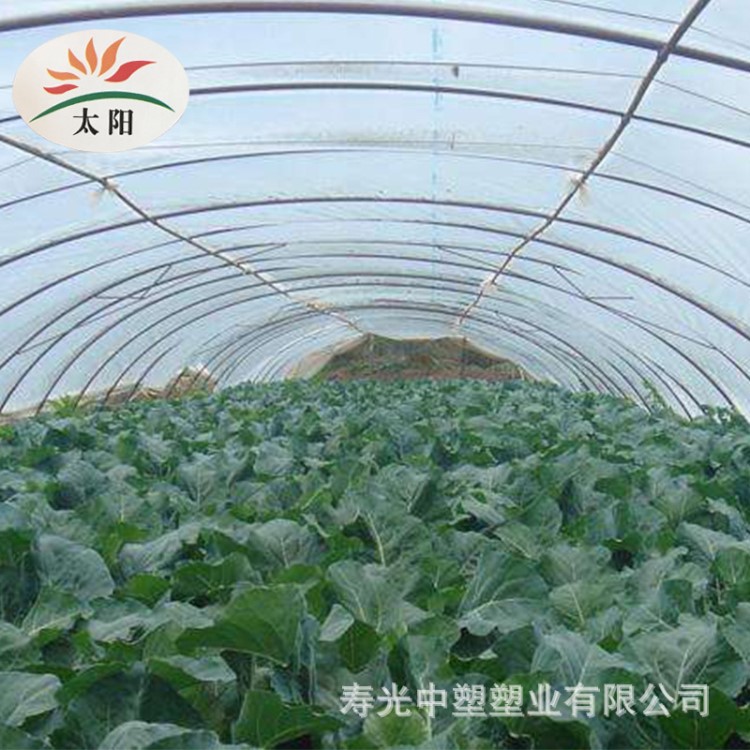 茂金属西瓜专用膜 厂家直销 农用大棚塑料膜葡萄专用膜大棚塑料膜