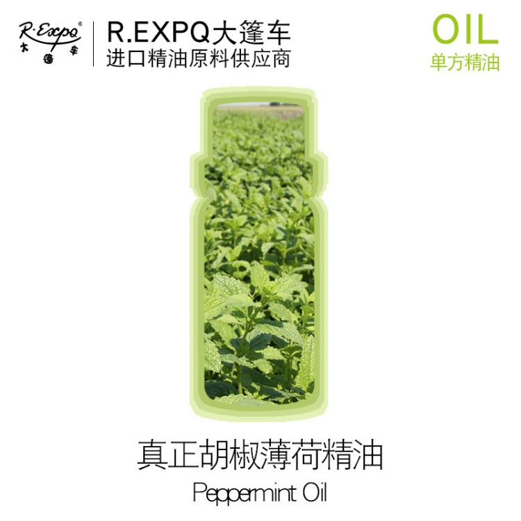 【样品】真正胡椒薄荷精油 印度单方精油原料 支持小量批货