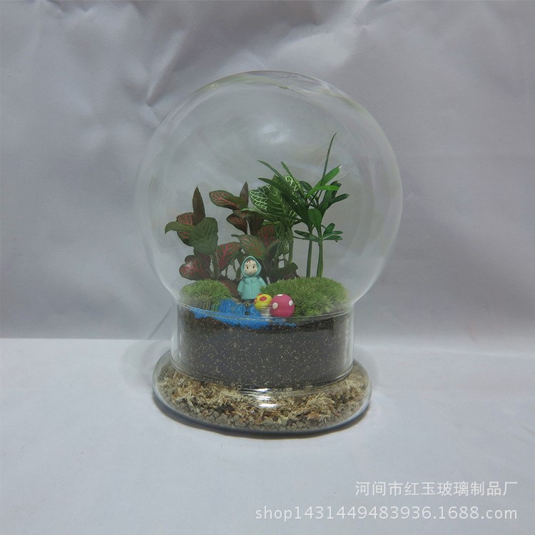 创意苔藓微景观生态植物玻璃透明花瓶 新年礼品 微景观瓶 批发