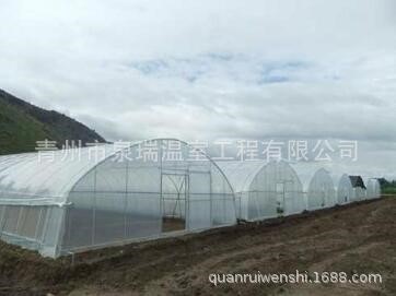 云南贵州订购拱形温室 蔬菜花卉种植温室 青州泉瑞温室建造