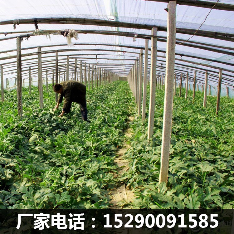 华丰牌厂家直销8米7丝8丝西瓜大棚膜茂金属长寿流滴膜可定制