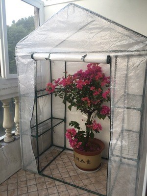 温室大棚多肉阳光棚遮阳棚花园暖房户外多肉植物盆栽小型花架