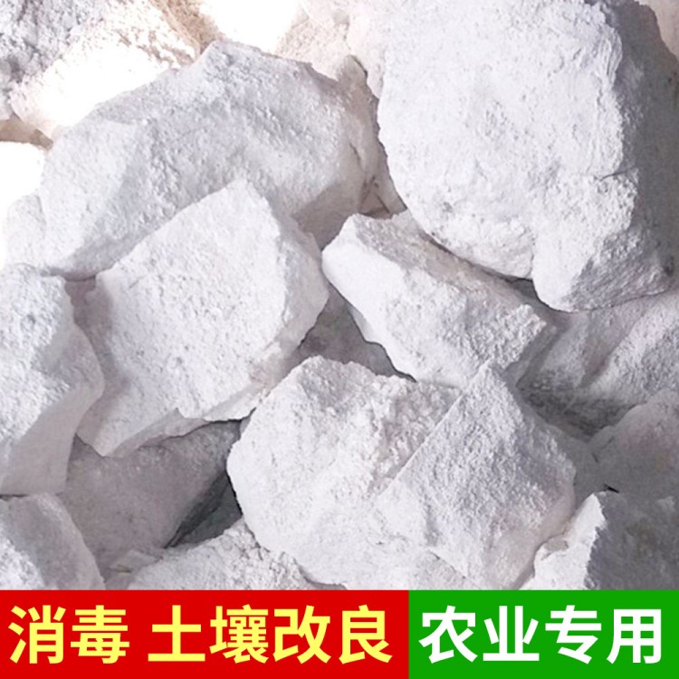 黑龙江工厂直销氧化铝高活性生石灰食用菌养殖用块状生石灰厂家