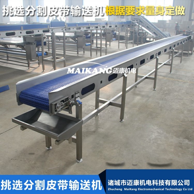 定做双层皮带修整输送机 双层皮带机输送带迈康厂家直销