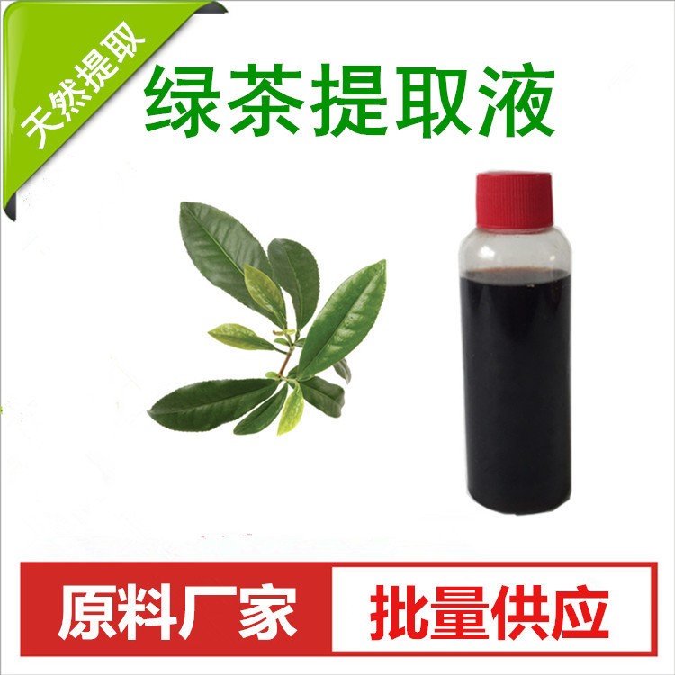 绿茶提取液 绿茶萃取液 植物提取 化妆品原料 DIY护肤原料