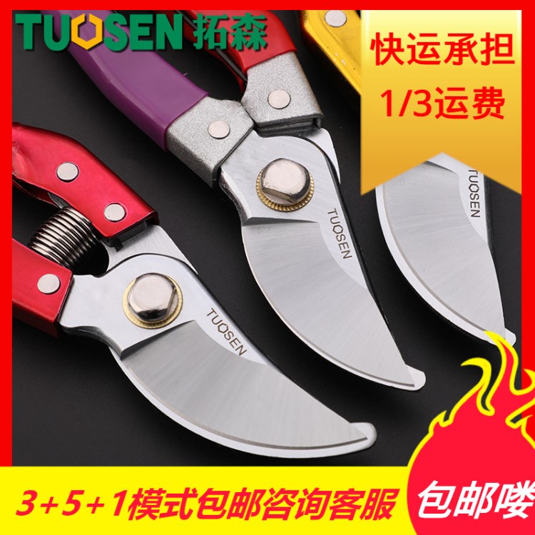 拓森工具8寸果枝剪SK5弯头粗枝剪园艺剪摘果园林树枝剪刀修枝剪