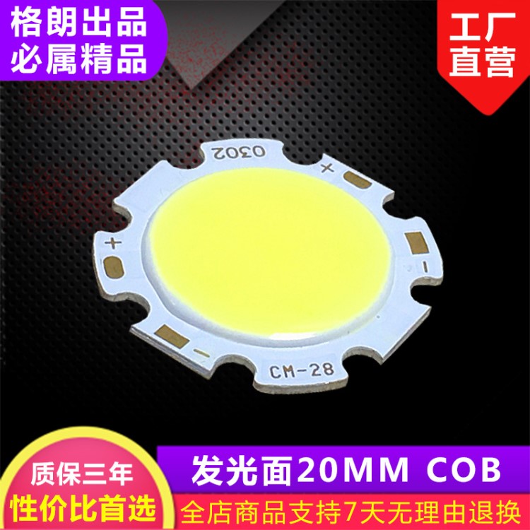 供应3WCOB光源 发光面20MM 3W到30W大功率灯珠 COB灯珠LED光源