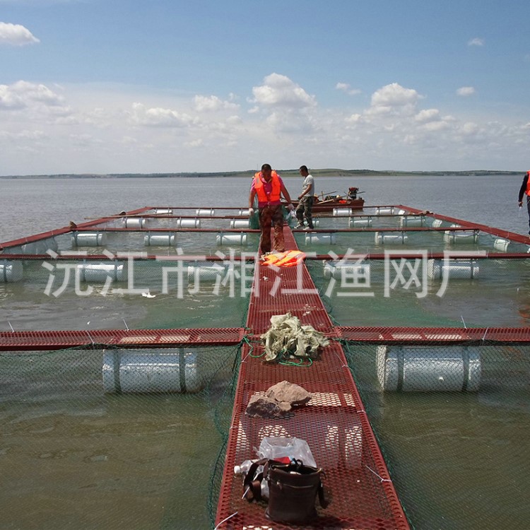 承接各类大型养鱼网箱建设 水蛭蚂蟥网箱 网箱养鱼浮桶大量批发