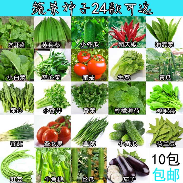 蔬菜阳台种菜种子盆栽蔬菜种套餐家庭院易种24款