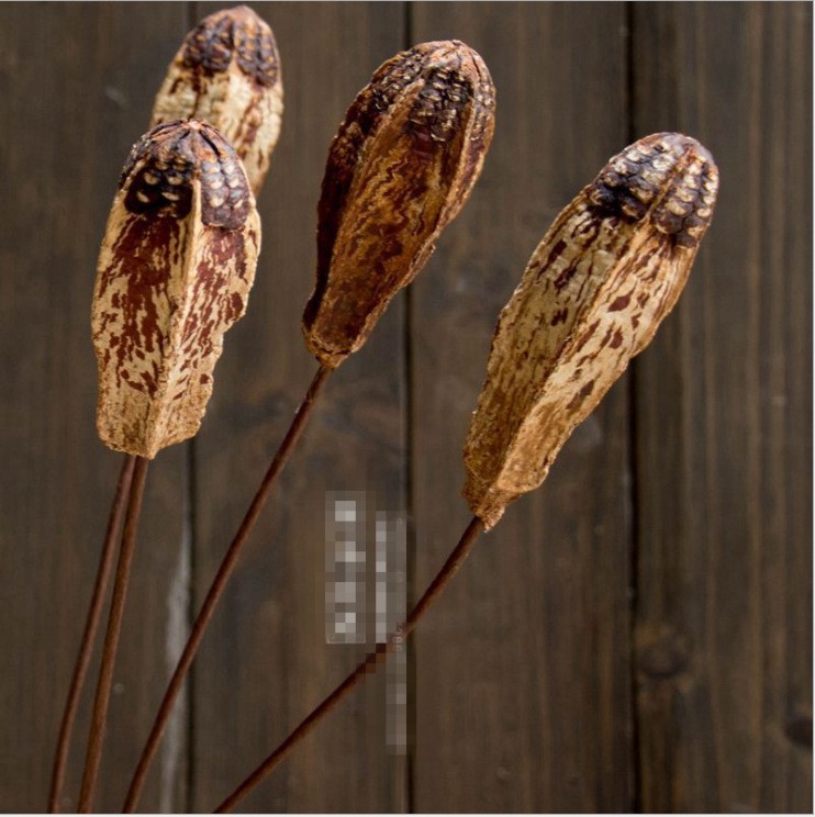 欧式落地家居花艺 干花装饰花真花植物插杆 杨核桃玛蒂菱