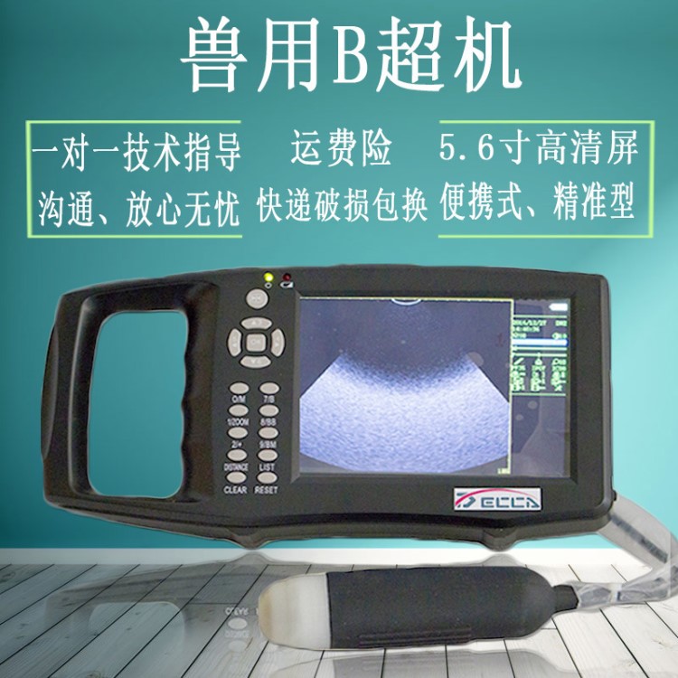 兽用B超机猪用B超机羊牛用b超彩色大屏幕 母猪怀孕检测设备 B超