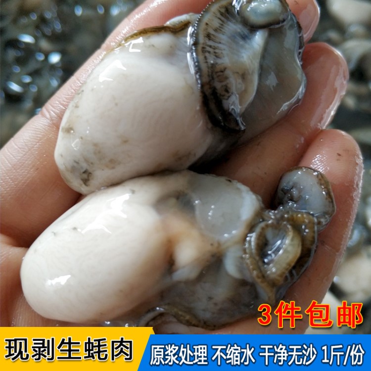 新鲜现剥生蚝肉无沙海蛎肉去壳牡蛎肉一件代发1500g包邮