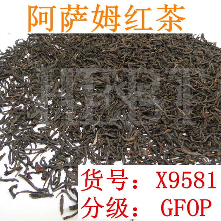 阿萨姆红茶 条形阿萨姆红茶 北印度阿萨姆高山红茶与锡兰红茶齐名