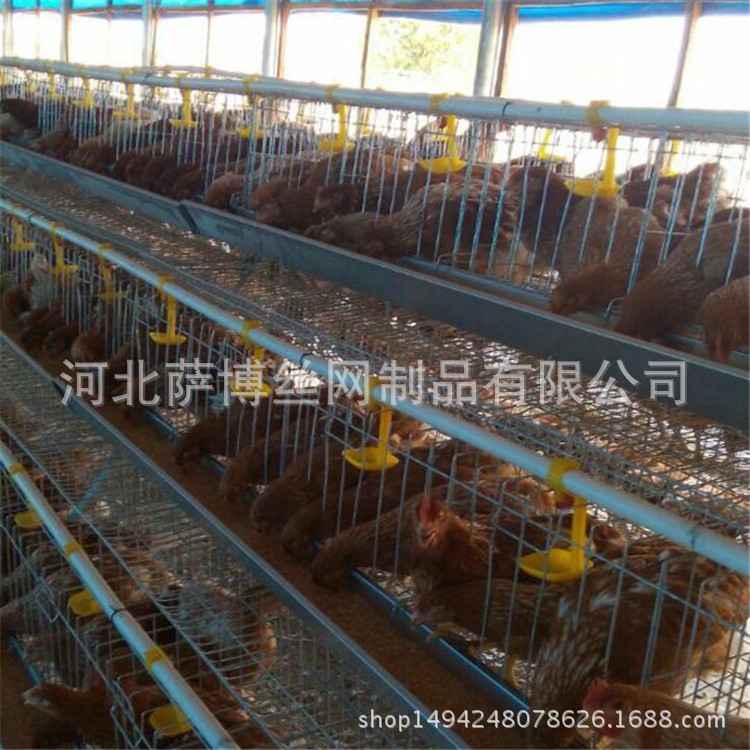 高密蛋鸡笼厂家直销 肉鸡笼价格 H型肉鸡笼尺寸