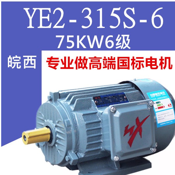 国标75KW6极电机75千瓦六级YE2-315S-6三相异步电动机YX3YE3YVF2