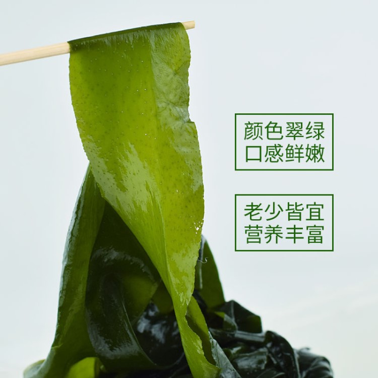 海菜包子酒店饭店用海带盐渍裙带菜嫩叶做汤拌菜海菜嫩叶海草