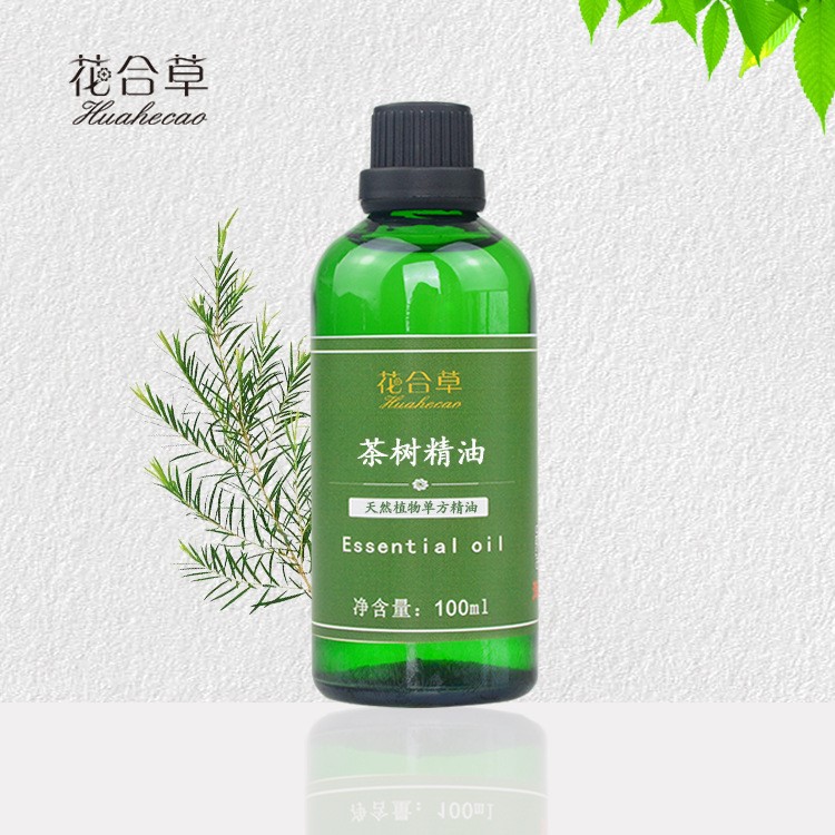 油茶树精油100ml互叶白千层油 单方精油刮痧按摩沐足薰香