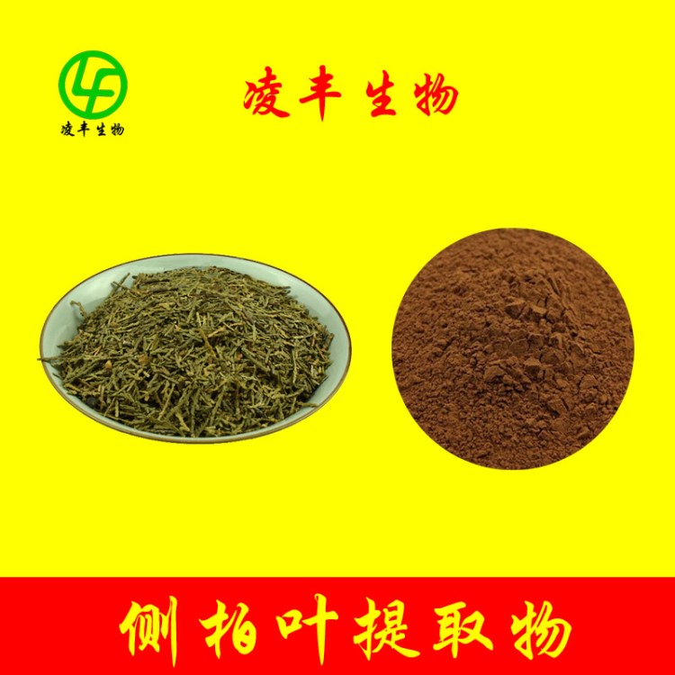 侧柏叶提取物 侧柏叶粉 侧柏叶浸膏粉 松树提取物 黄酮