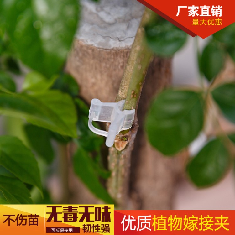 植物嫁接夹 蔬菜瓜果/茄子西瓜甜瓜专用嫁接夹 育苗嫁接夹绑蔓夹