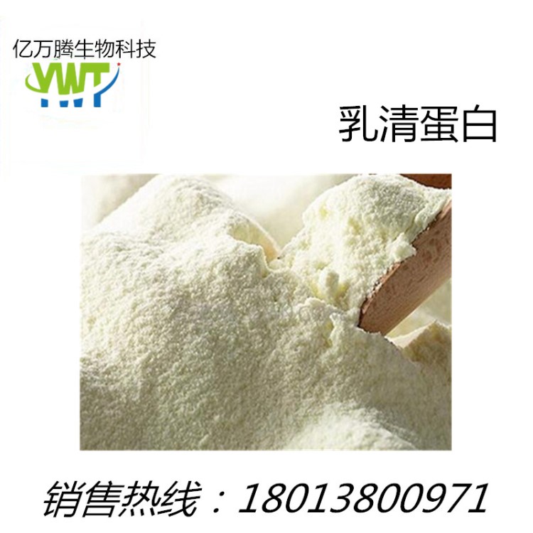 分离乳清蛋白 增肌粉 巧克力味 健身用蛋白粉 量大从优