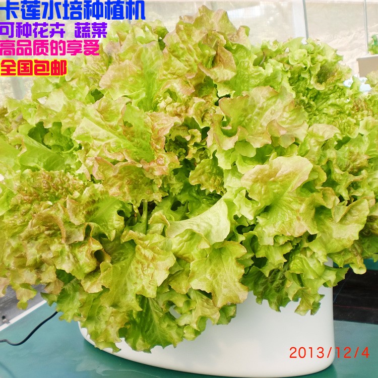 家用无土栽培蔬菜设备包邮新品阳台种菜设备水培蔬菜水培设备