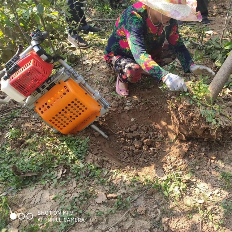 现货供应园林汽油移树机多功能树苗移树机小型汽油挖树机破碎