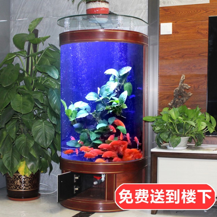 欧式半圆形鱼缸生态玻璃客厅家用水族箱中型创意靠墙金鱼缸0.8米