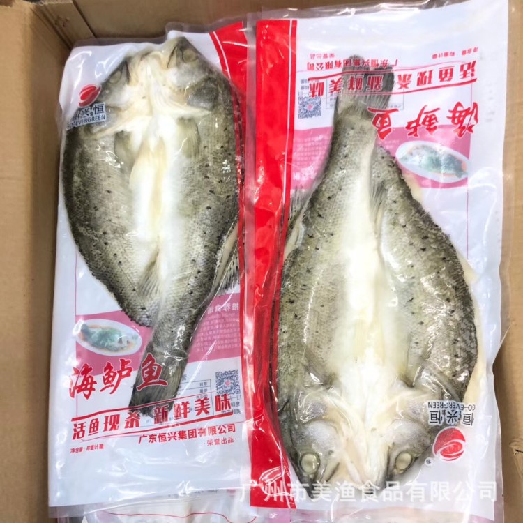 开背恒兴海鲈鱼 深海鲈鱼鲈鱼 海鲜水产海鱼 野生鲈鱼800-900g/条