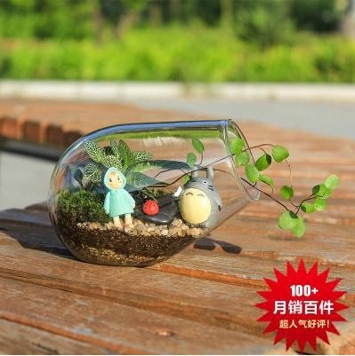 微景观玻璃摆台 装饰 创意 防辐射瓶 diy 家居办公花瓶礼品 小炮