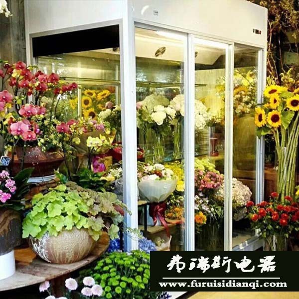 鲜花保鲜柜花店鲜花展示柜蛋糕甜点冷藏柜饮料展示柜立式货架XH-L