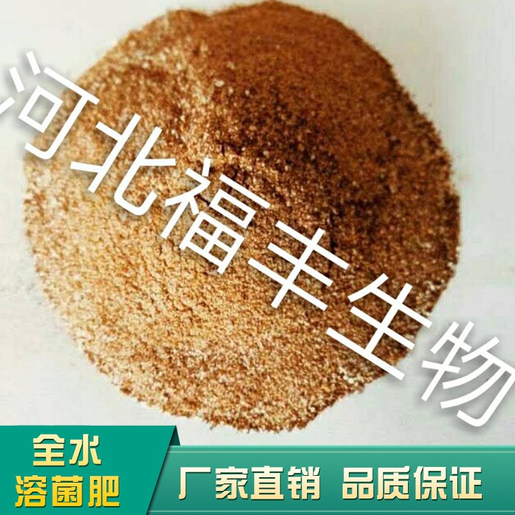 厂家直销微生物发酵菌剂全水溶菌肥农作物蔬菜水产肥料有机肥底肥