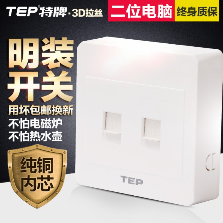 TEP 86型 明装墙壁开关插座面板 双电脑插座 二位网络电脑 雅白