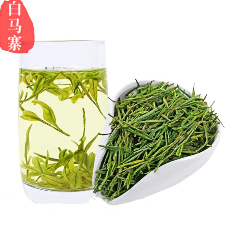 2019年新茶产地绿茶春茶 安吉白茶袋装高山茶叶散装 量大从优