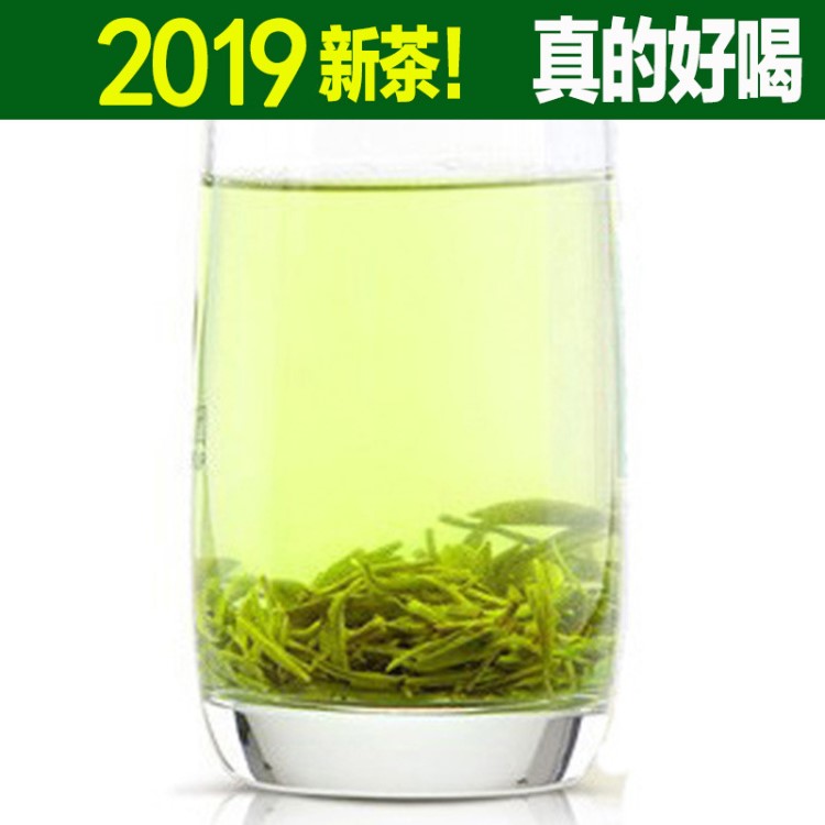 高山云雾茶叶绿茶2019新茶明前散装毛尖特级永川秀芽 超信阳庐山