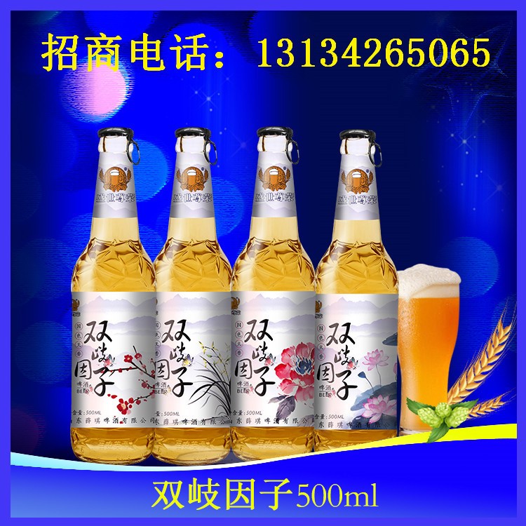 500ml大瓶特色养生啤酒招代理/拉环盖啤酒批发/贵溪/瑞金