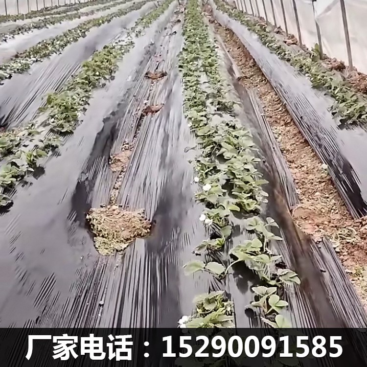 农用黑色地膜除草膜防虫加厚薄膜果树果园蔬菜大棚草莓专用塑料膜