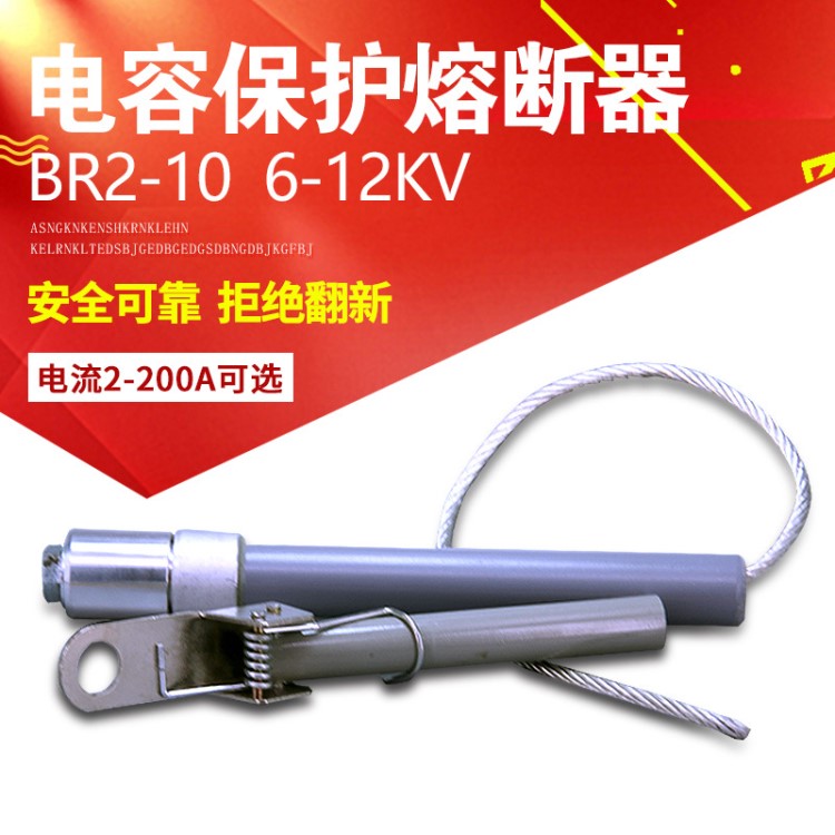 BRW3 BR2-10并联电容器保护高压熔断器6-12KV电力电容器高压熔管