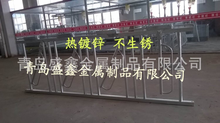 厂家生产批发牛颈枷 新款自锁式牛颈枷 养殖设备 畜牧专用牛颈枷