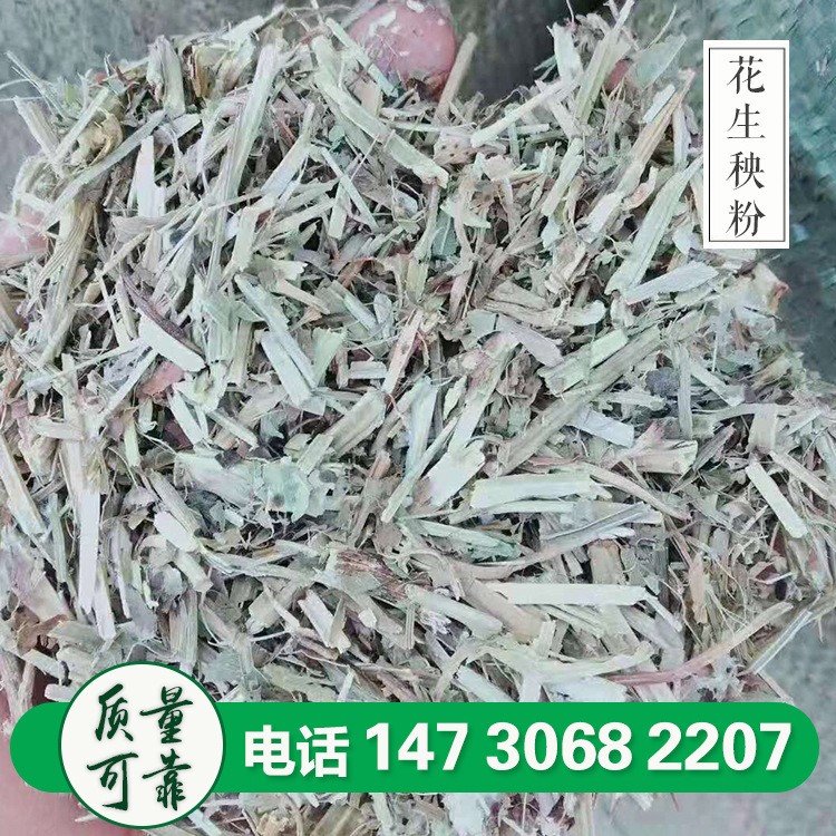 现货供应牛羊马新鲜干花生秧草 青贮牧草饲料切断花生秧草粉