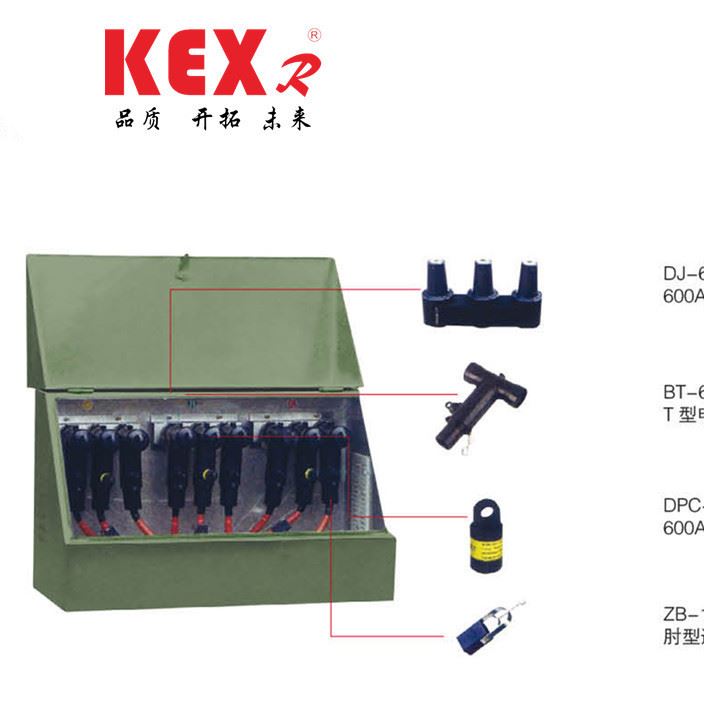 现货低价 欧式分支箱 DFW10分接箱 可选配件故障指示器避雷器