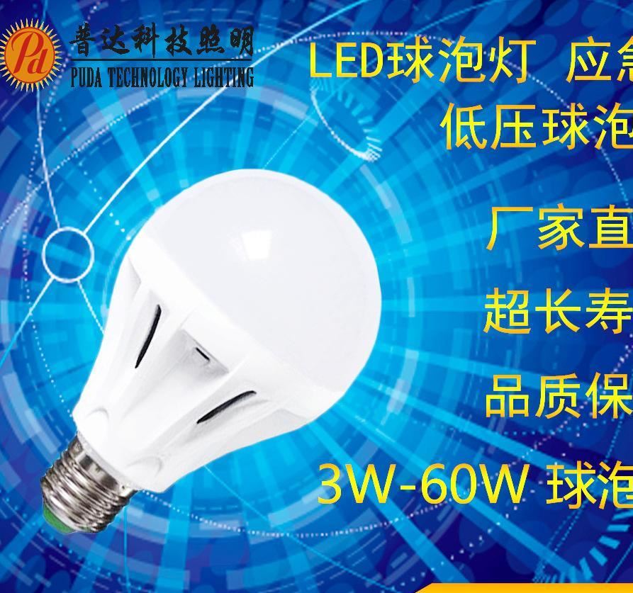 厂家直销led灯 led低压灯具 应急灯 led球泡灯 3W-60W球泡灯