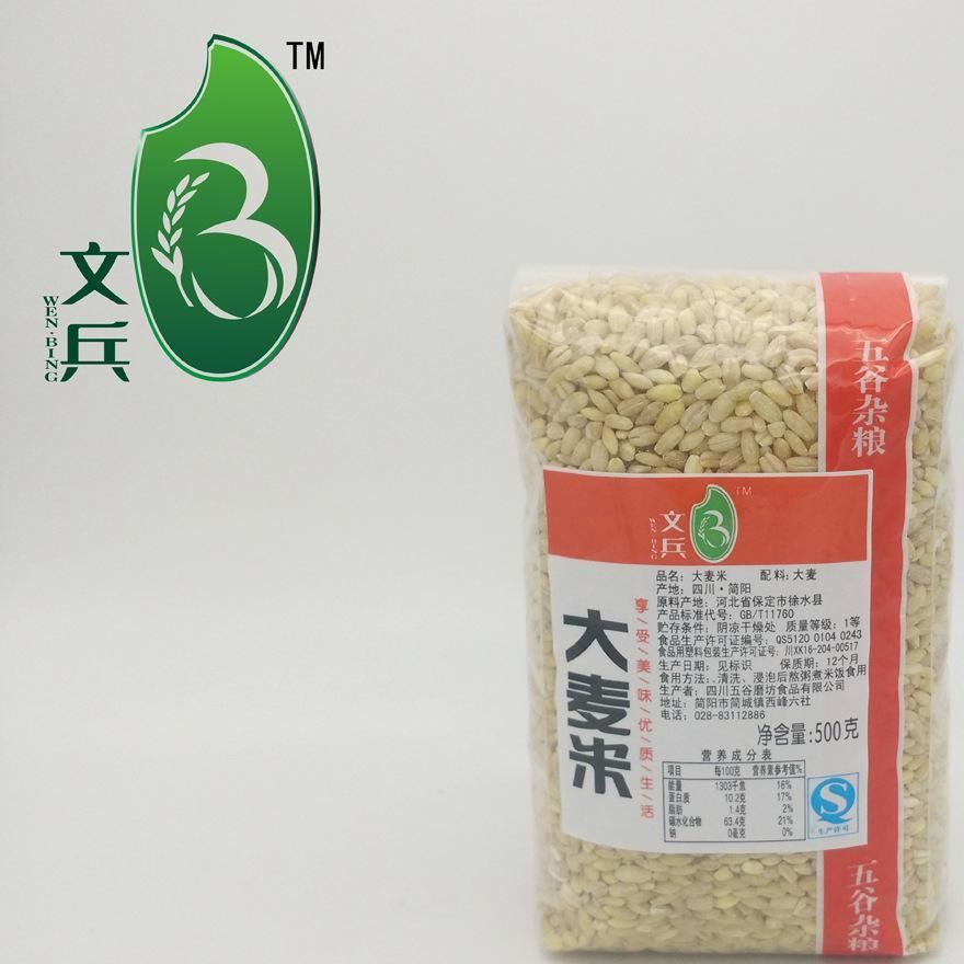 文兵杂粮 大麦米 枕头包 500g