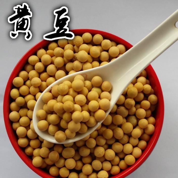 新农家自种小黄豆大黄豆 打豆浆专用450g 非转基因大豆