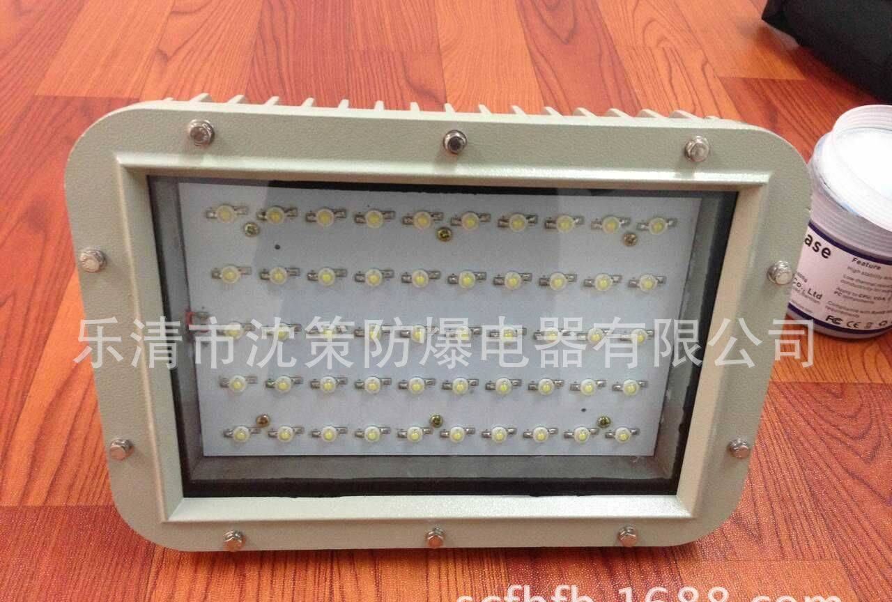 厂家直销 30W40W50W60W防爆led泛光灯 工场专用灯 石油专用灯