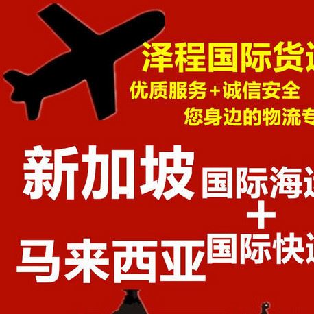 国际物流 中国到新加坡海运空运专线 一条龙服务